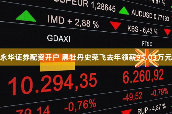 永华证券配资开户 黑牡丹史荣飞去年领薪95.03万元