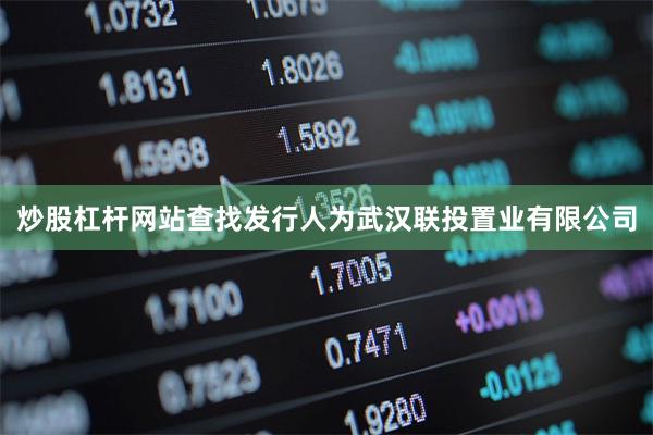炒股杠杆网站查找发行人为武汉联投置业有限公司
