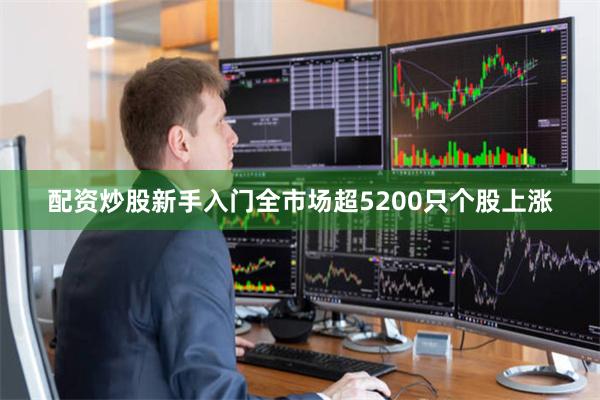 配资炒股新手入门全市场超5200只个股上涨